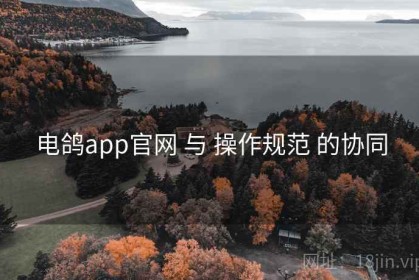 电鸽app官网 与 操作规范 的协同
