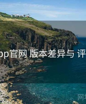 电鸽app官网 版本差异与 评价体系
