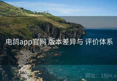 电鸽app官网 版本差异与 评价体系