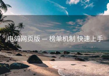 电鸽网页版 — 榜单机制 快速上手