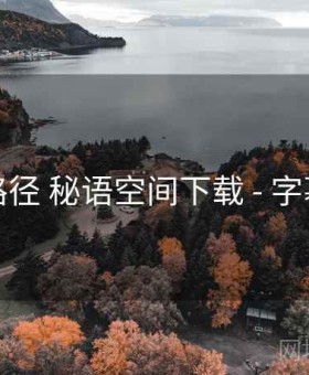 实践路径 秘语空间下载 - 字幕方案