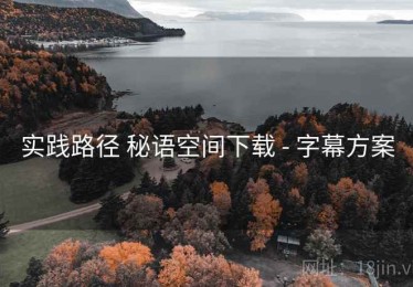 实践路径 秘语空间下载 - 字幕方案