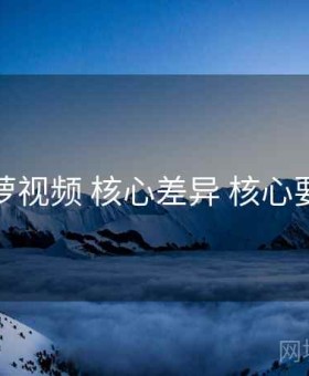 菠萝视频 核心差异 核心要点