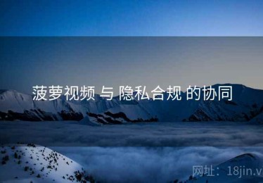 菠萝视频 与 隐私合规 的协同