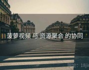 菠萝视频 与 资源聚合 的协同