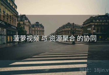 菠萝视频 与 资源聚合 的协同