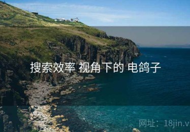 搜索效率 视角下的 电鸽子