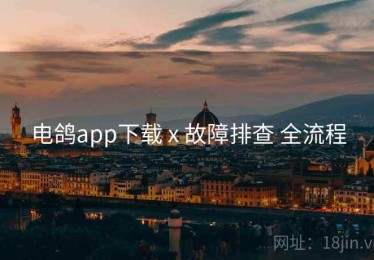 电鸽app下载 x 故障排查 全流程