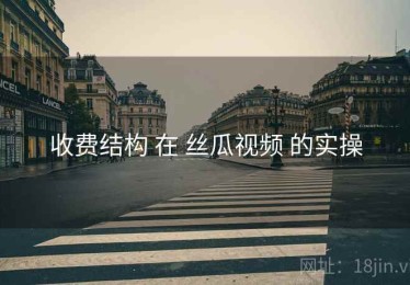 收费结构 在 丝瓜视频 的实操