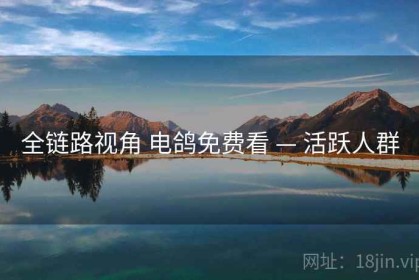 全链路视角 电鸽免费看 — 活跃人群