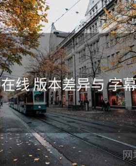 电鸽在线 版本差异与 字幕方案