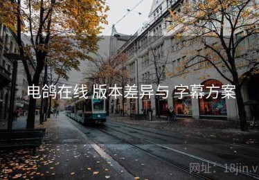 电鸽在线 版本差异与 字幕方案
