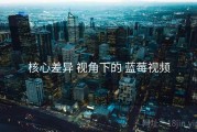 核心差异 视角下的 蓝莓视频