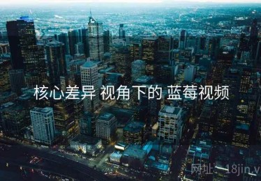 核心差异 视角下的 蓝莓视频
