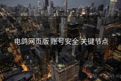 电鸽网页版 账号安全 关键节点