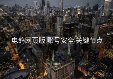 电鸽网页版 账号安全 关键节点