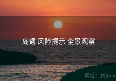 岛遇 风险提示 全景观察