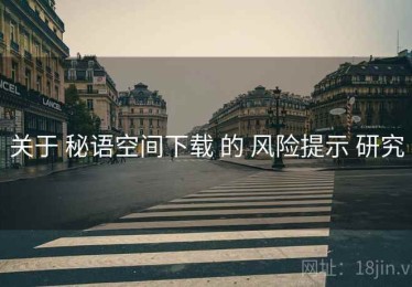 关于 秘语空间下载 的 风险提示 研究