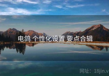 电鸽 个性化设置 要点合辑