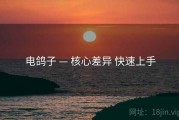 电鸽子 — 核心差异 快速上手