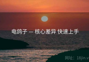 电鸽子 — 核心差异 快速上手