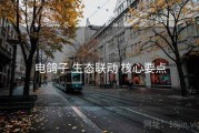 电鸽子 生态联动 核心要点