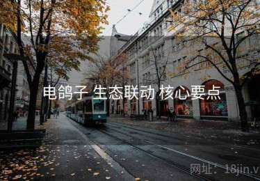 电鸽子 生态联动 核心要点
