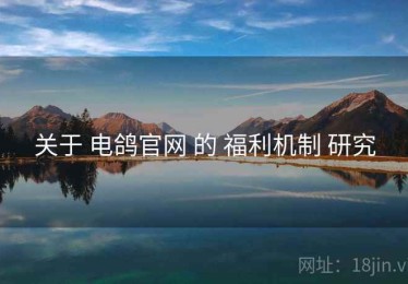 关于 电鸽官网 的 福利机制 研究