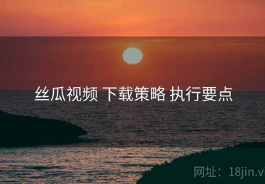 丝瓜视频 下载策略 执行要点