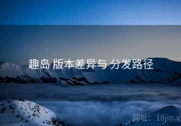 趣岛 版本差异与 分发路径