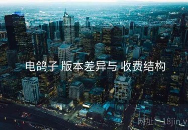 电鸽子 版本差异与 收费结构