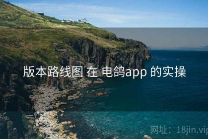 版本路线图 在 电鸽app 的实操