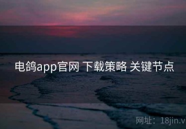 电鸽app官网 下载策略 关键节点