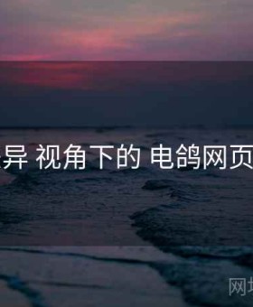 版本差异 视角下的 电鸽网页版入口