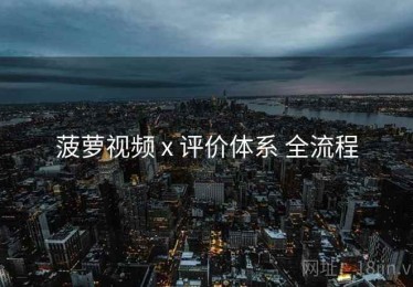 菠萝视频 x 评价体系 全流程