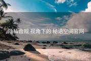 隐私合规 视角下的 秘语空间官网