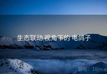生态联动 视角下的 电鸽子