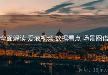 全面解读 爱液视频 数据看点 场景图谱