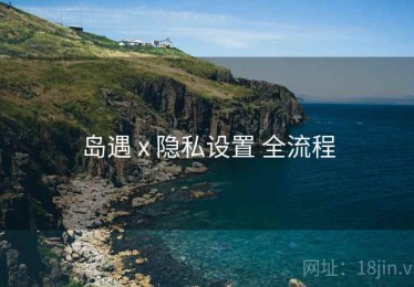 岛遇 x 隐私设置 全流程