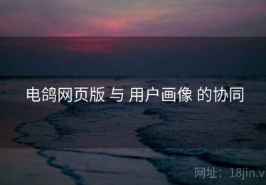 电鸽网页版 与 用户画像 的协同