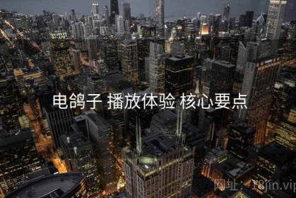 电鸽子 播放体验 核心要点