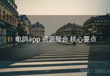 电鸽app 资源聚合 核心要点