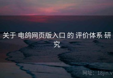 关于 电鸽网页版入口 的 评价体系 研究