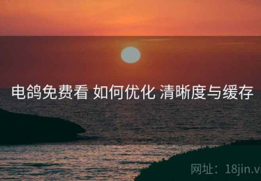 电鸽免费看 如何优化 清晰度与缓存