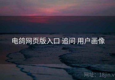 电鸽网页版入口 追问 用户画像