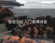 秘语空间 入门 故障排查