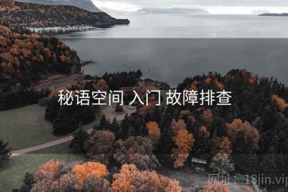 秘语空间 入门 故障排查