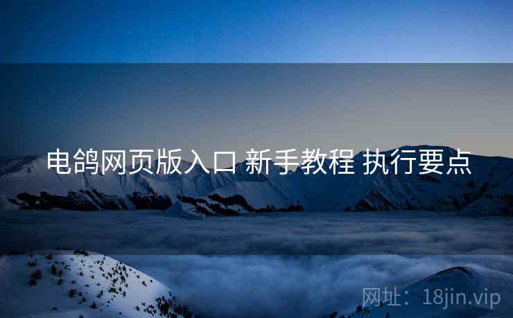 电鸽网页版入口 新手教程 执行要点