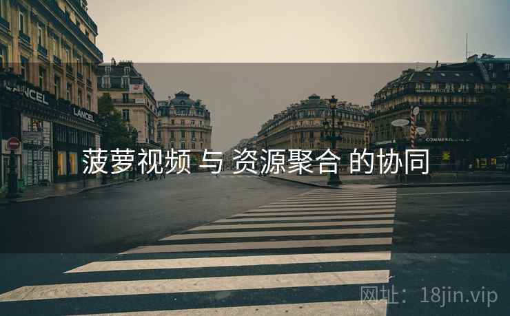 菠萝视频 与 资源聚合 的协同