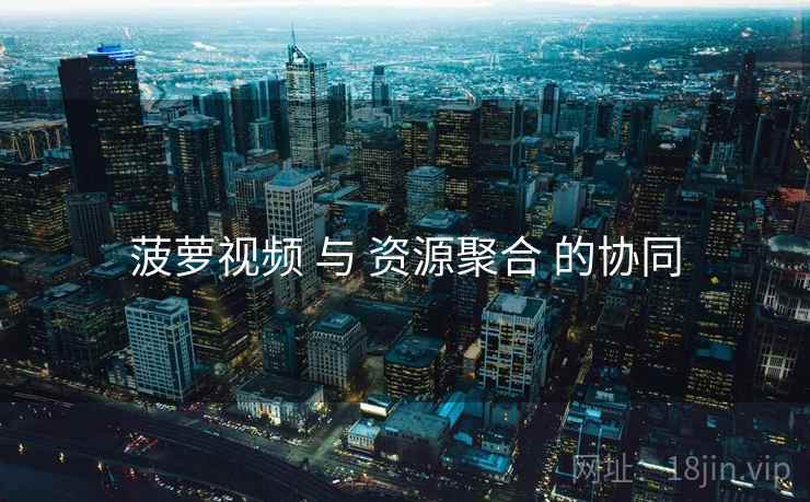 菠萝视频 与 资源聚合 的协同